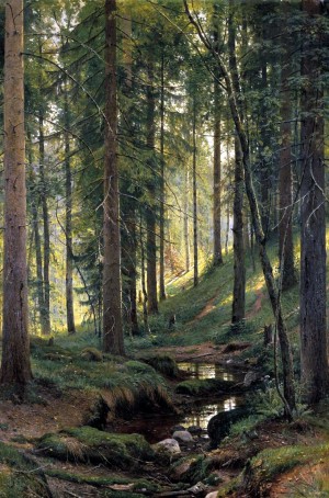 Stream by a forest slope